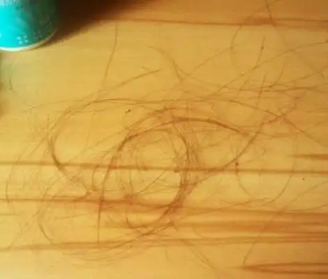 家里每个房间的地板上都是头发烦烦烦