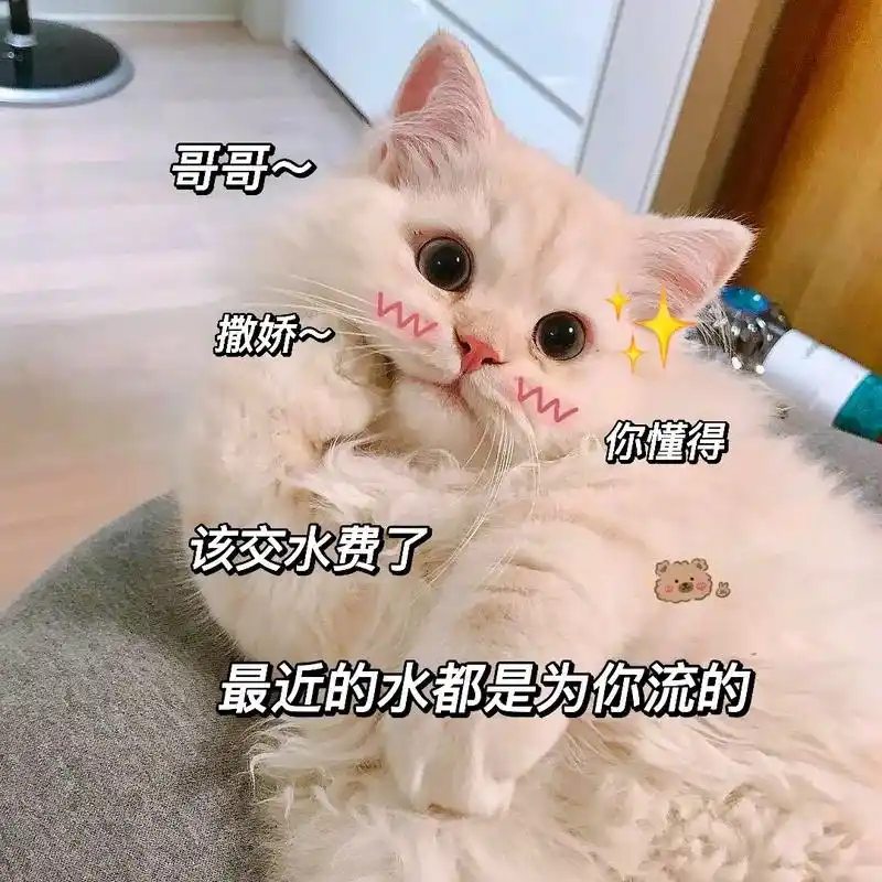 表情包 #猫咪表情包 #套路男朋友  - 抖音