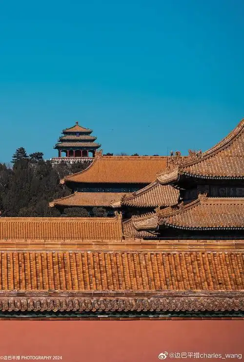 北京故宫探春摄影