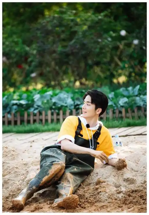 郑爽自律一片黄瓜嚼20下张新成机智反应显高情商