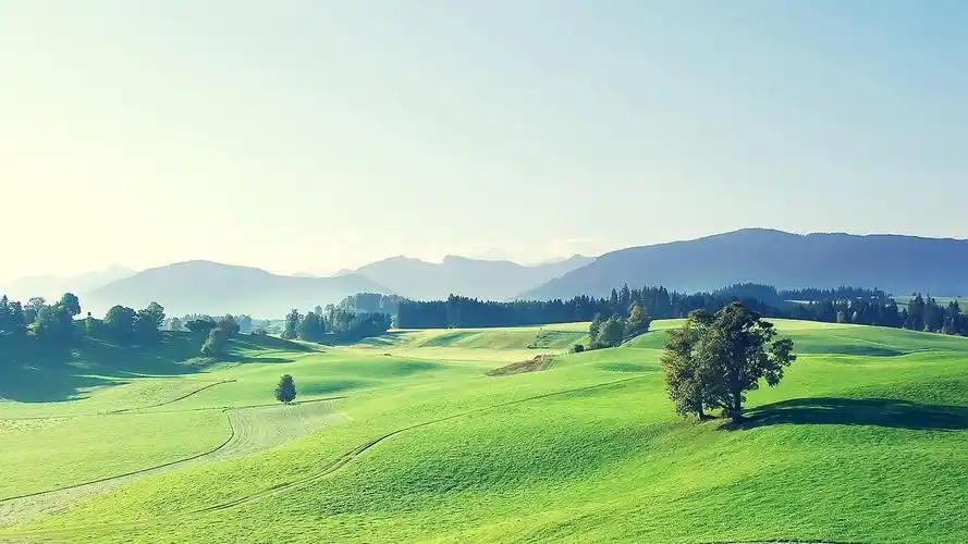 广阔 护眼 风景大片壁纸壁纸于2020-06-16上传元气壁纸平台,草原 广阔