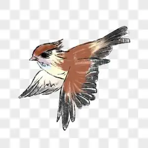 手绘肖像飞翔的小鸟素材