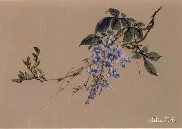 工笔紫藤的画法步骤分解