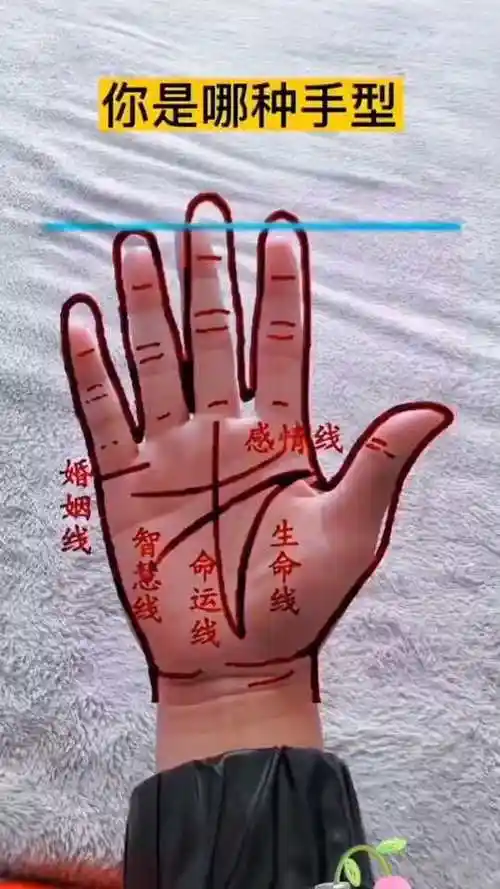 测一测你是哪种手型