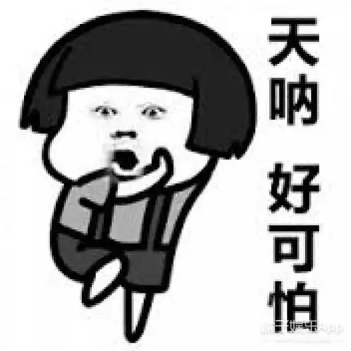 一波会让你笑喷的汪星人照片正在来袭