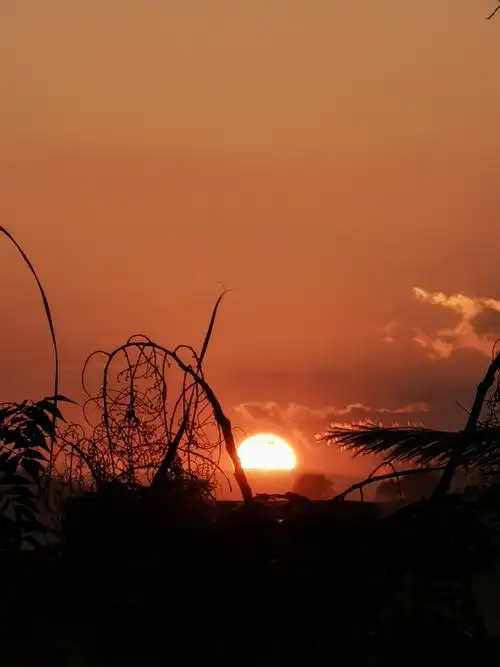 初冬落日………黄昏落日草深深,炊烟袅袅飘入云.