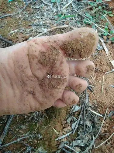 男人的相册-我觉得姑娘的脚脏一点是很性感的-1