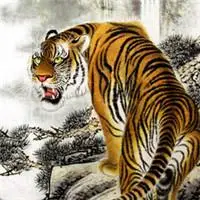 霸气老虎头像图片大全好看的老虎霸气图片头像