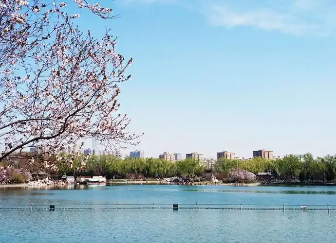 春色满园～我的随手拍于北京龙潭公园