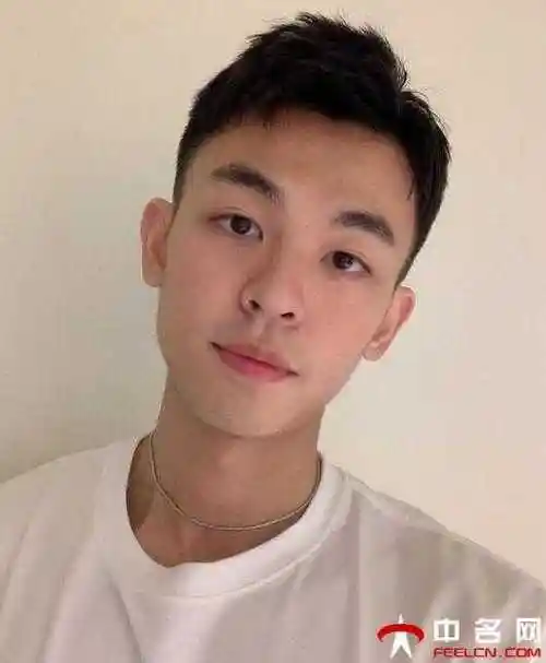 20岁的男生发型简约时尚狼狗奶狗发型来定