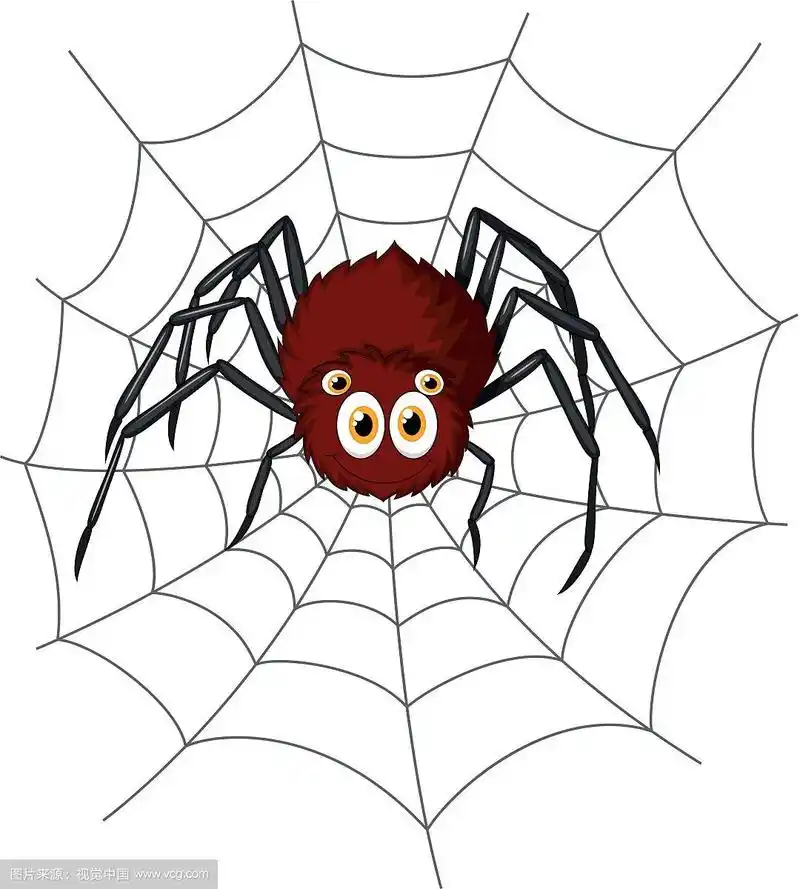 卡通可爱的蜘蛛