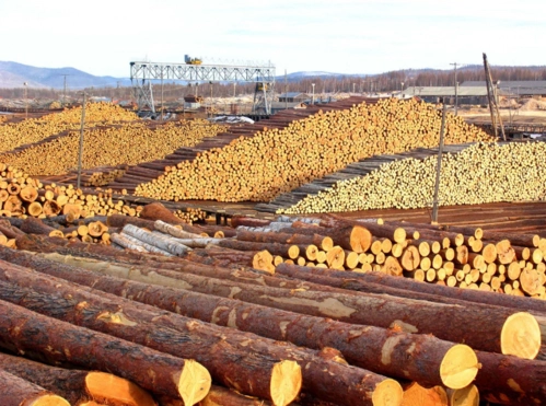 旅游:当年风光无限的莫尔道嘎贮木场,木材一眼望不到头!