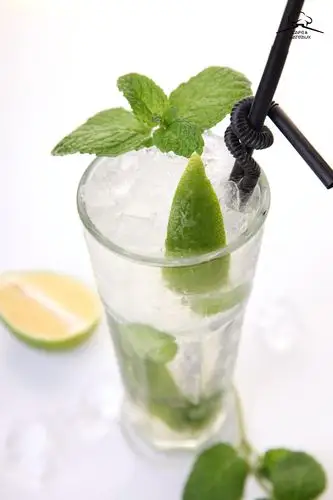 这个夏天为她做一杯mojito吧78