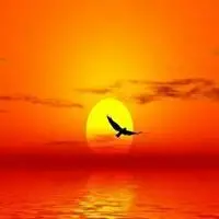 早晨太阳升起的图片微信头像点击鼠标右键下载