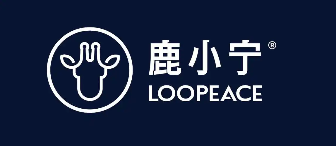 开鹿小宁有什么政策扶持?「南京腾麒科技有限公司」