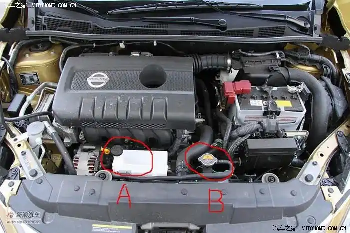 请教添加防冻液在什么地方加