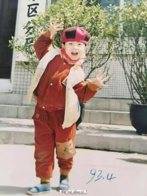 马龙|樊振东|里约奥运会_新浪新闻