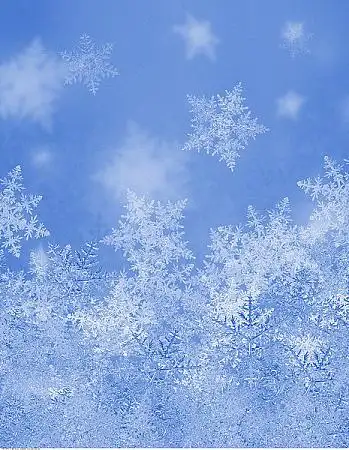 雪花图片_图片大全