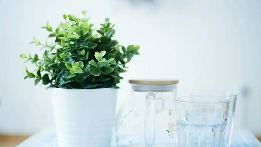 刷赞网站推广免费网址