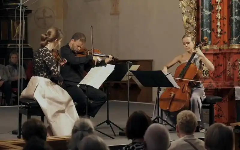 【弦乐三重奏】莫扎特 降e大调嬉游曲 kv 563丨sol gabetta