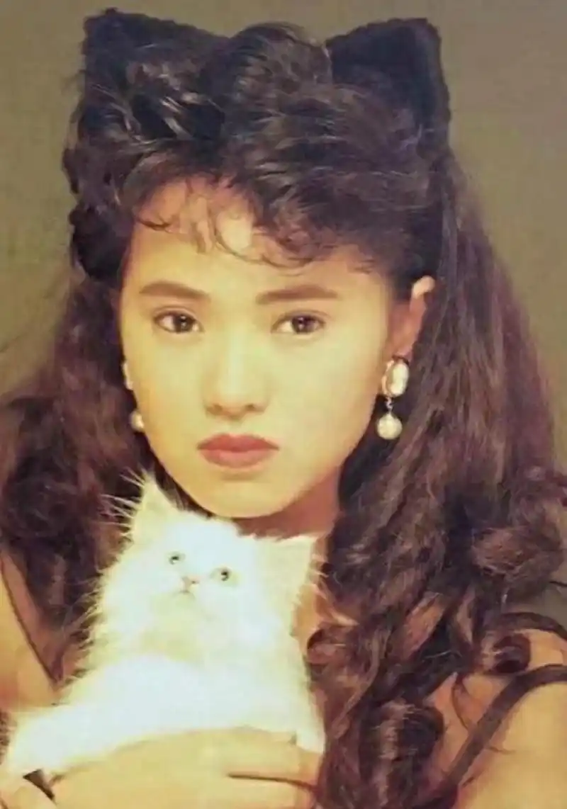伊能静早期的猫系少女造型,很符合她本人啊