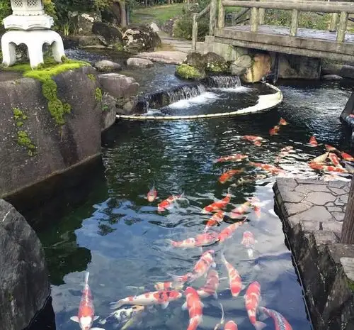 16个"庭院鱼池"案例,如果你有一个庭院,一定要设计一个鱼池!