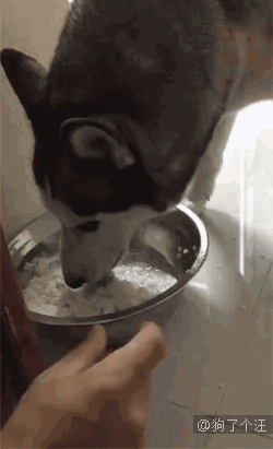 250_411竖版 竖屏gif 动态图 动图