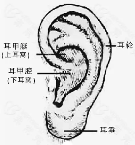 湖北耳朵畸形矫正医院分享,武汉这家耳部整形医院必看!