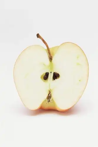 绿色食品,影棚,剖面,切面,彩图,高角度拍摄,影棚拍摄546_819竖版 竖屏