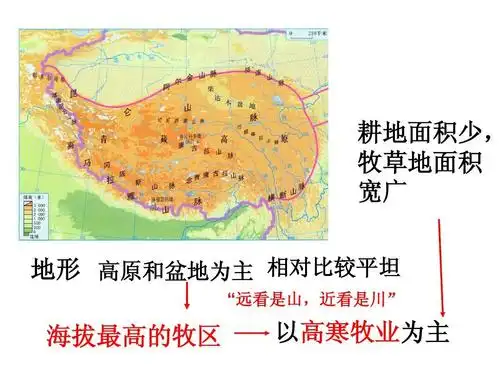海拔最高的牧区(新教材)ppt