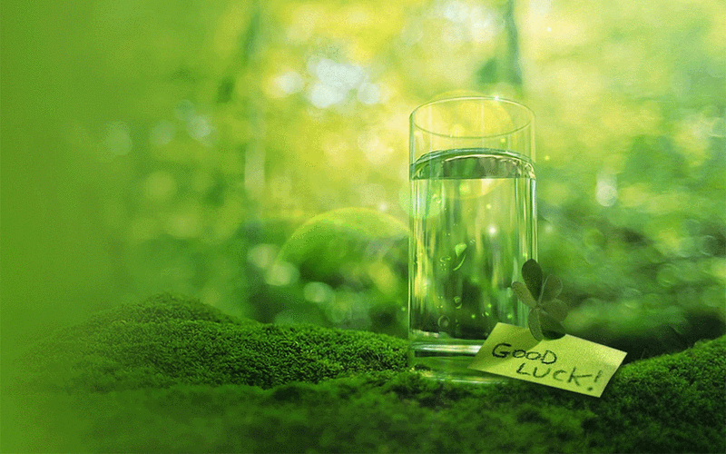 win7动态唯美花卉,高清图片,电脑桌面-壁纸族