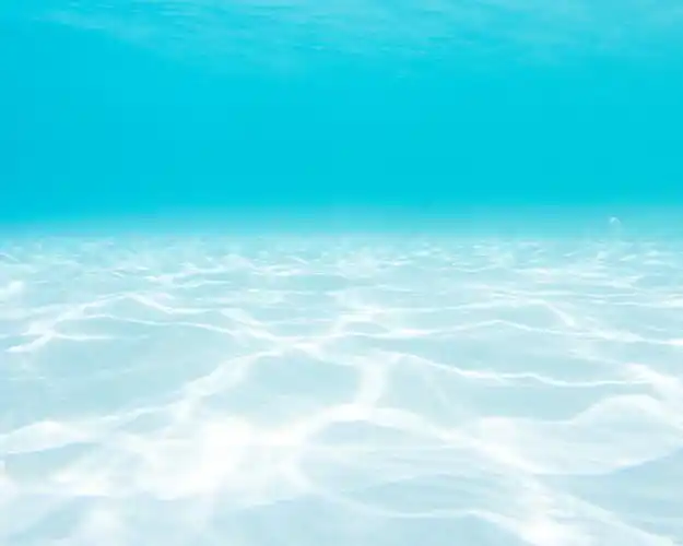 高清晰海洋水下壁纸-欧莱凯设计网(2008php.com)