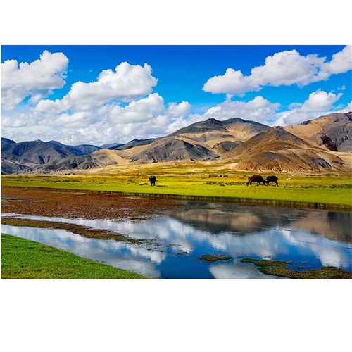 3d墙纸桌面墙上壁画贴纸自粘辽阔草原大海报定制田园风光图自然风景挂