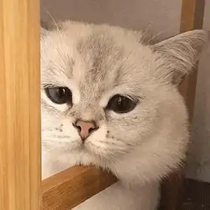 搞笑合集:无水印表情包第50弹