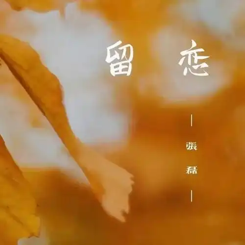 mix悦动听丨张磊新专辑《留恋》上线 满载回忆感 深情来袭