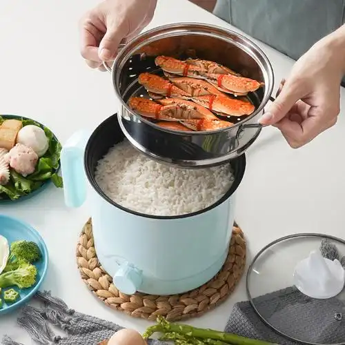 小功率宿舍单人小型小锅子家用煮面小锅多功能小电锅电煮锅学生锅