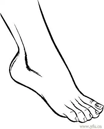 简笔画水晶高跟鞋图片  简笔画高跟鞋穿在脚上的脚丫简笔画怎么画9只