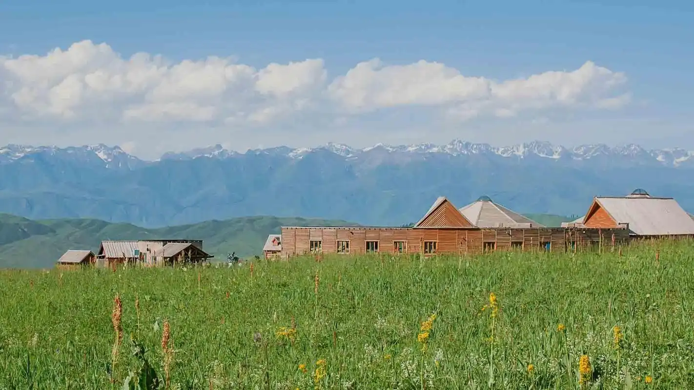 电脑壁纸 风景 特别漂亮的碧草蓝天