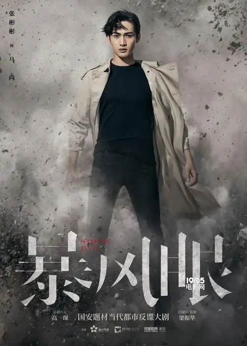 杨幂张彬彬新剧暴风眼首曝海报挑战国安风云