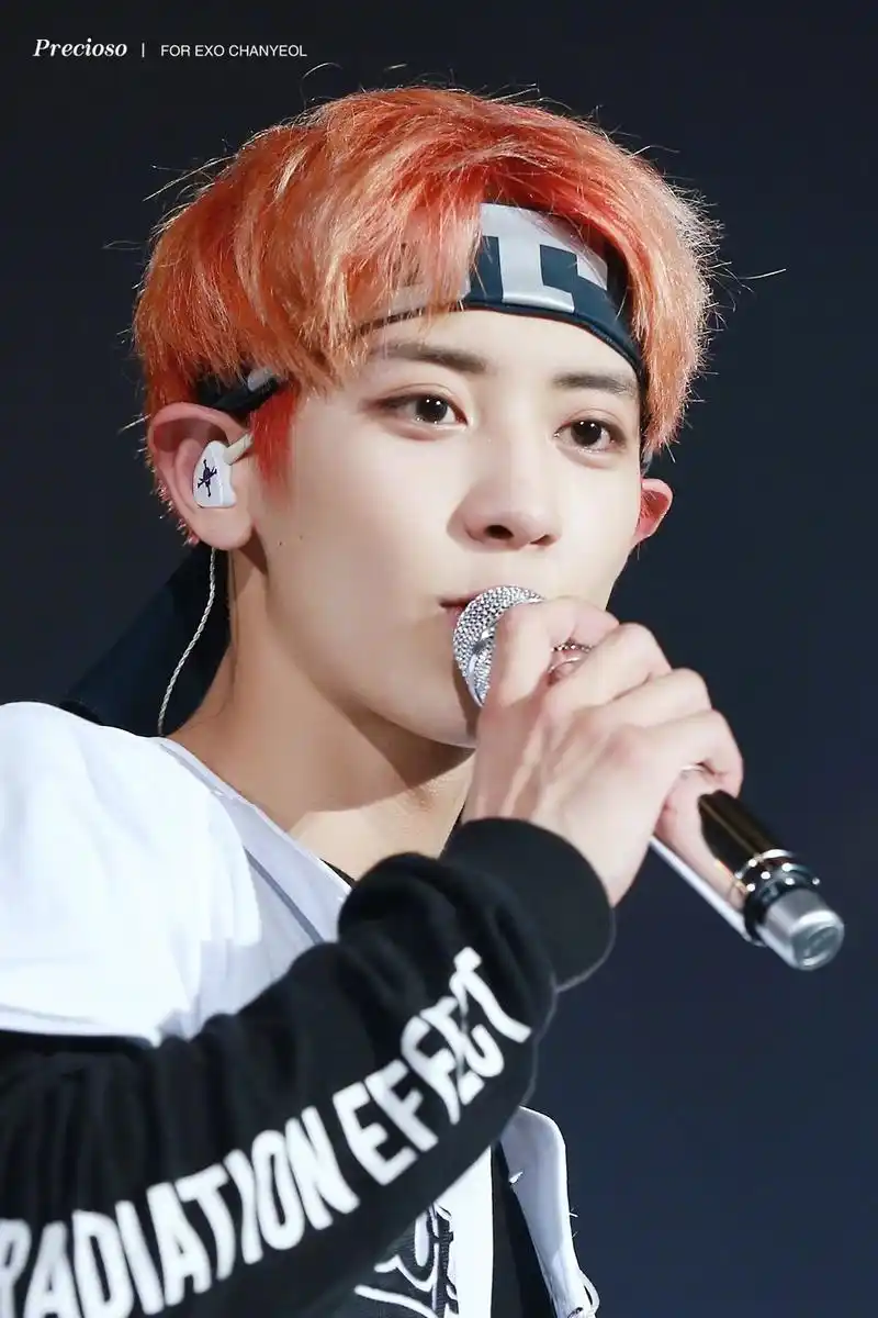 朴灿烈 韩国男子演唱组合exo,exo-k,exo-sc成员