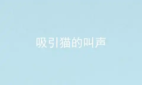 吸引猫的叫声