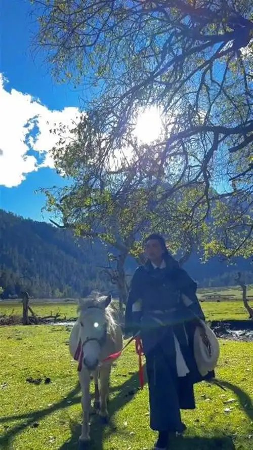 还不是因为人人心中都有一个江湖梦,想要一生放荡不羁爱自由,想要天地