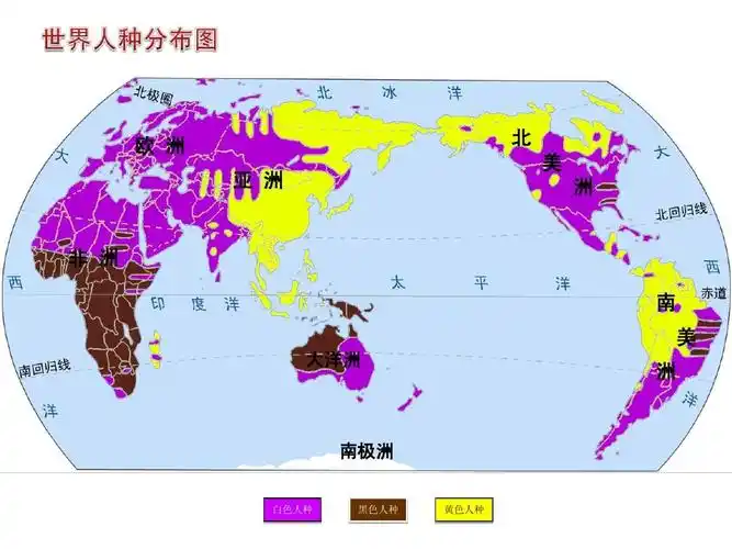 欧 洲 亚 洲 北 美 洲 非 洲 南 美 大洋洲 洲 南极洲 白色人种 黑色