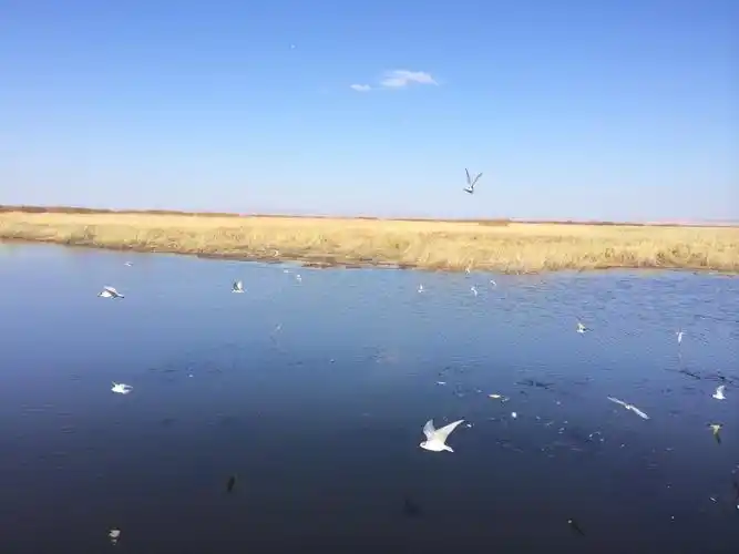 带着一个地址去旅行 北方的北方呼伦贝尔
