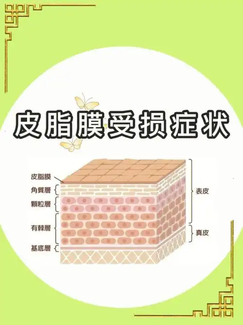 护肤小知识有关面部皮肤皮脂膜知识三