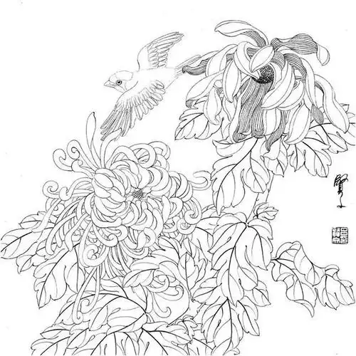 干货!画工笔画没线稿?39张高清工笔画线稿送给您,快来临摹吧