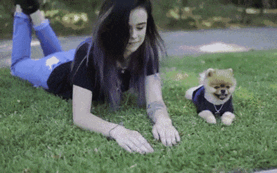 400_250gif 动态图 动图