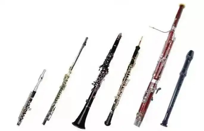 当我们走进音乐厅聆听交响乐的时候,金光闪闪的圆号,气韵悠长的单簧管