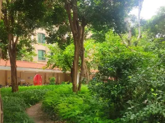 广州番禺大石金城花园大石金城花园小区 电梯精装2室1厅 南北通透