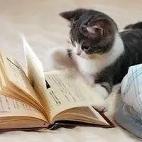 正在看书女生头像微信看书头像个性网微信头像看书唯美吃面包看书男生